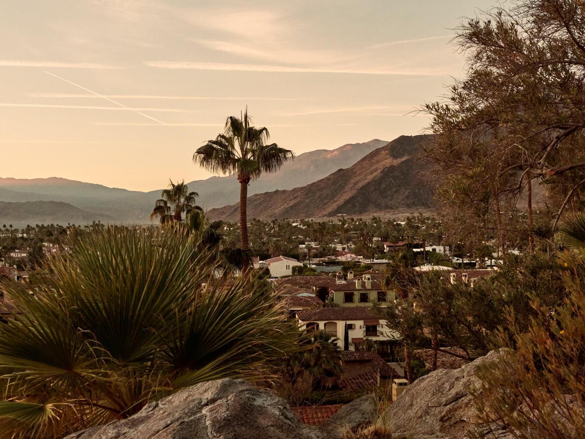 The Willows Palm Springs Ngoại thất bức ảnh