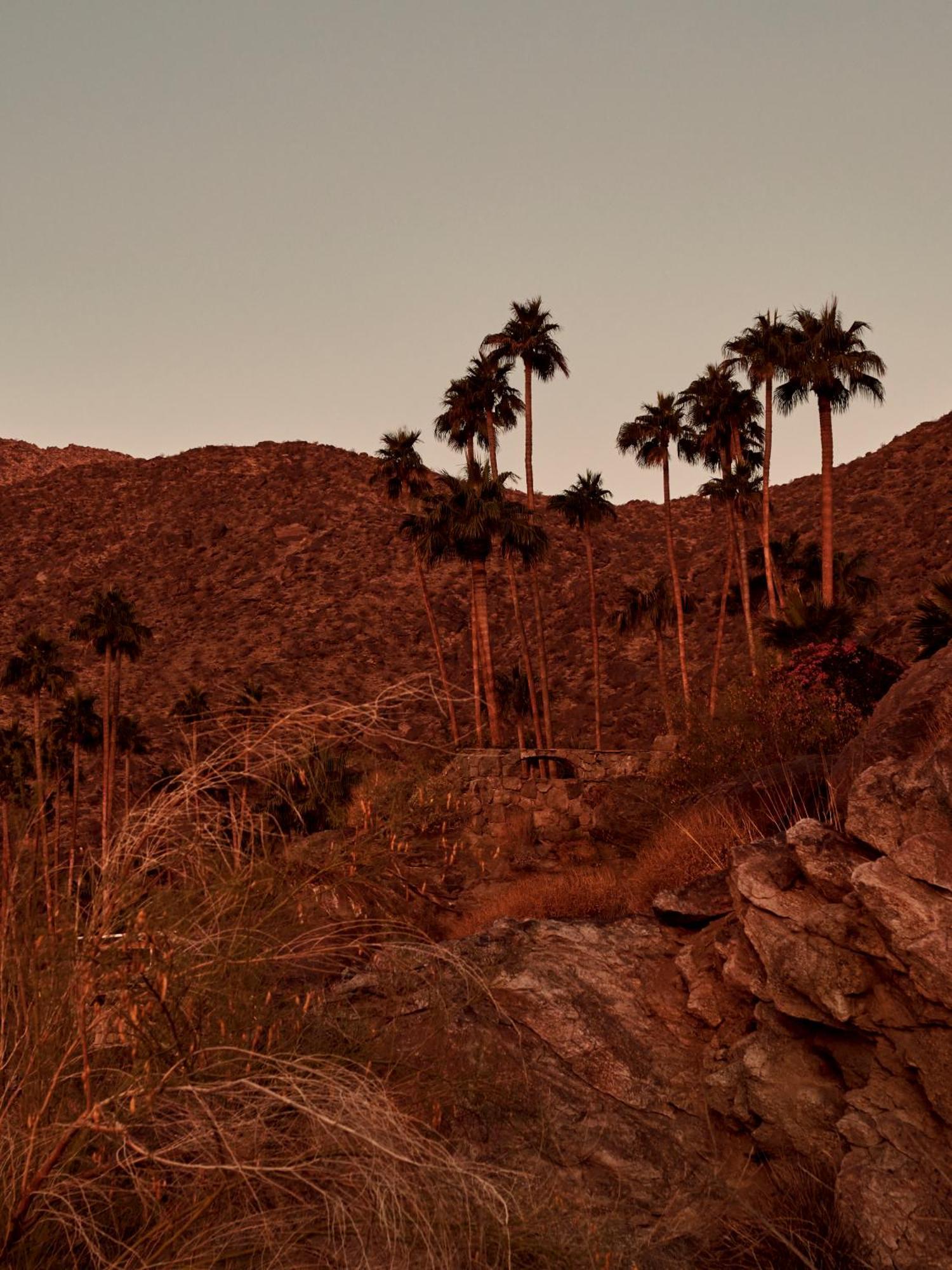 The Willows Palm Springs Ngoại thất bức ảnh