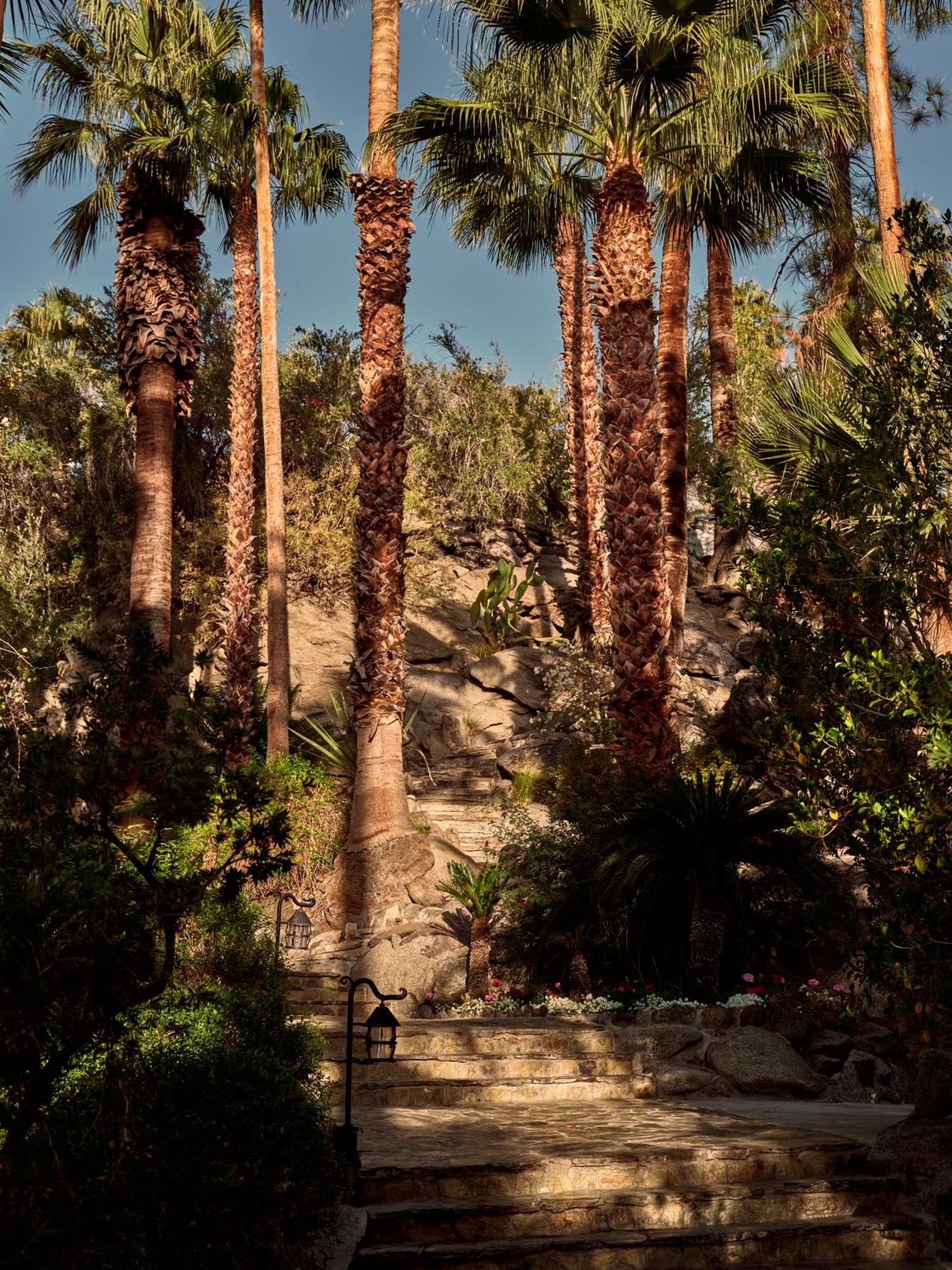 The Willows Palm Springs Ngoại thất bức ảnh