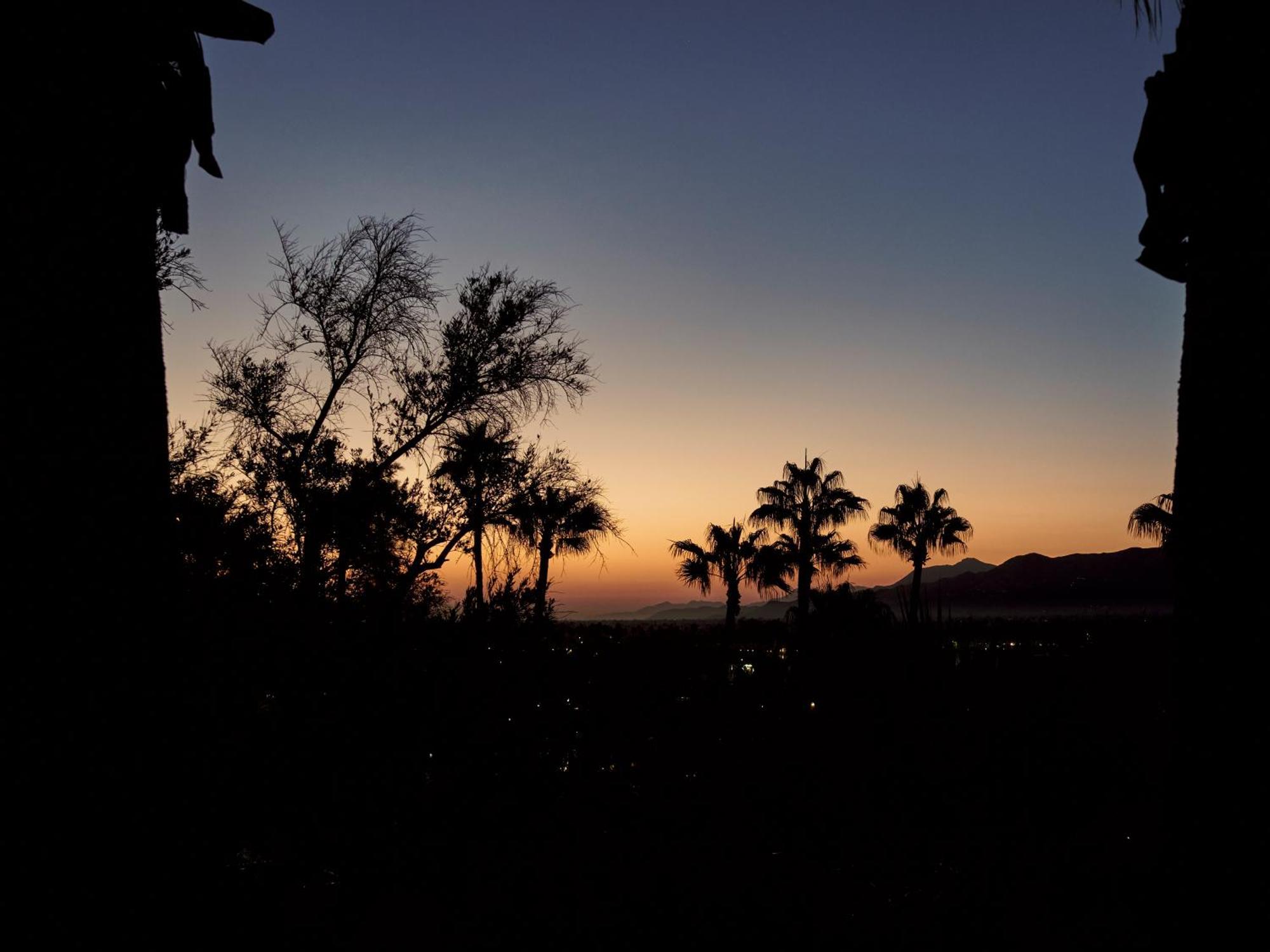The Willows Palm Springs Ngoại thất bức ảnh
